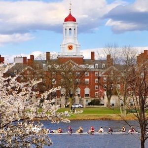 Meet your Posher, Claire